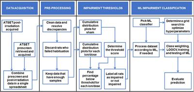 Machine Learning Models to Predict Cognitive Impairment of Rodents Subjected to Space Radiation